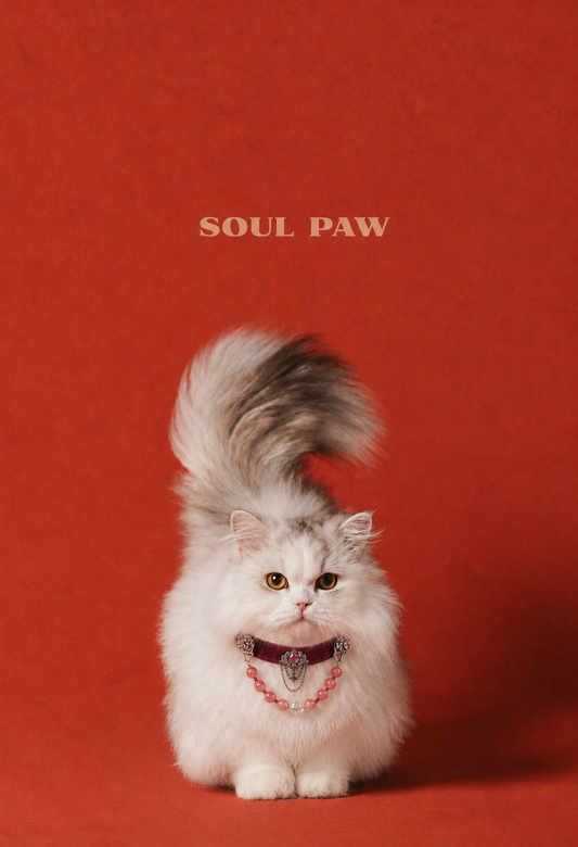 Strawberry Quartz Pet Collar & Matching Bracelet – Crimson Whispers