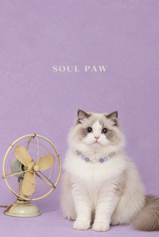 Amethyst & Aquamarine Pet Collar & Matching Bracelet – Quiet Resonance